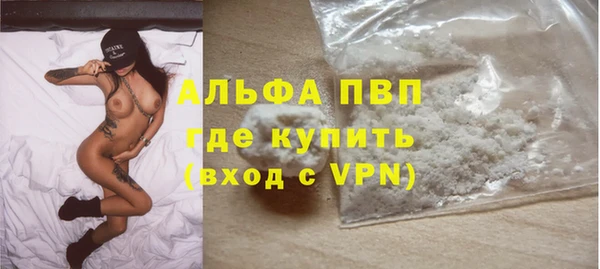 PSILOCYBIN Зеленодольск