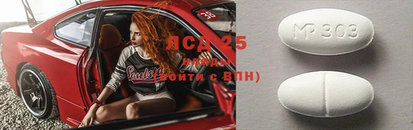 спайс Инта