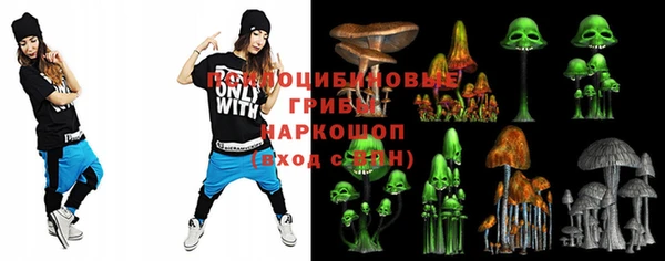 спайс Инта