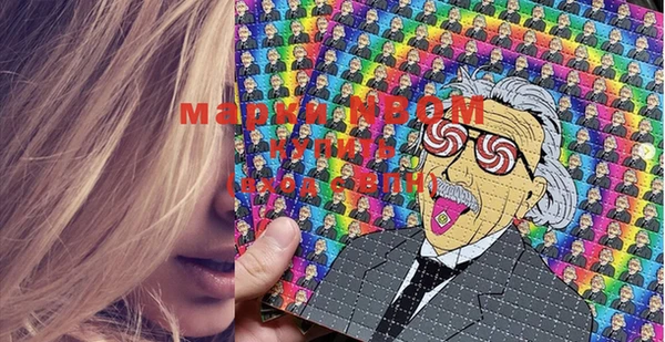 PSILOCYBIN Зеленодольск