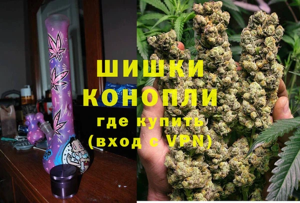 СК Зеленокумск