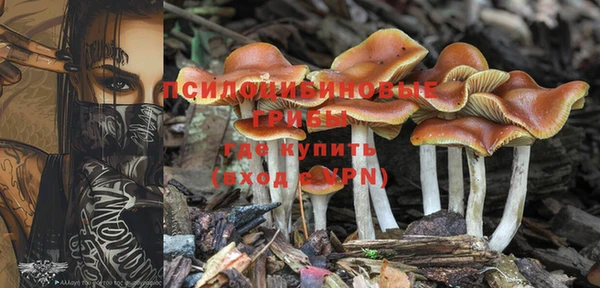 ГАЛЛЮЦИНОГЕННЫЕ ГРИБЫ Семилуки