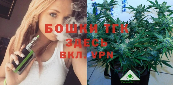 спайс Инта