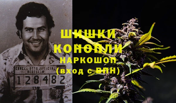 круглые Иннополис
