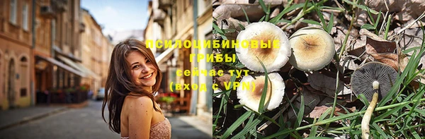 ГАЛЛЮЦИНОГЕННЫЕ ГРИБЫ Зерноград