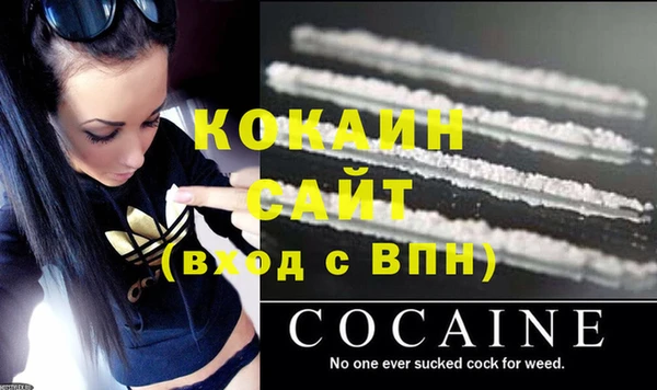 PSILOCYBIN Зеленодольск
