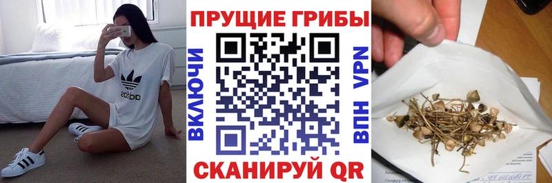 Галлюциногенные грибы Cubensis Ковров