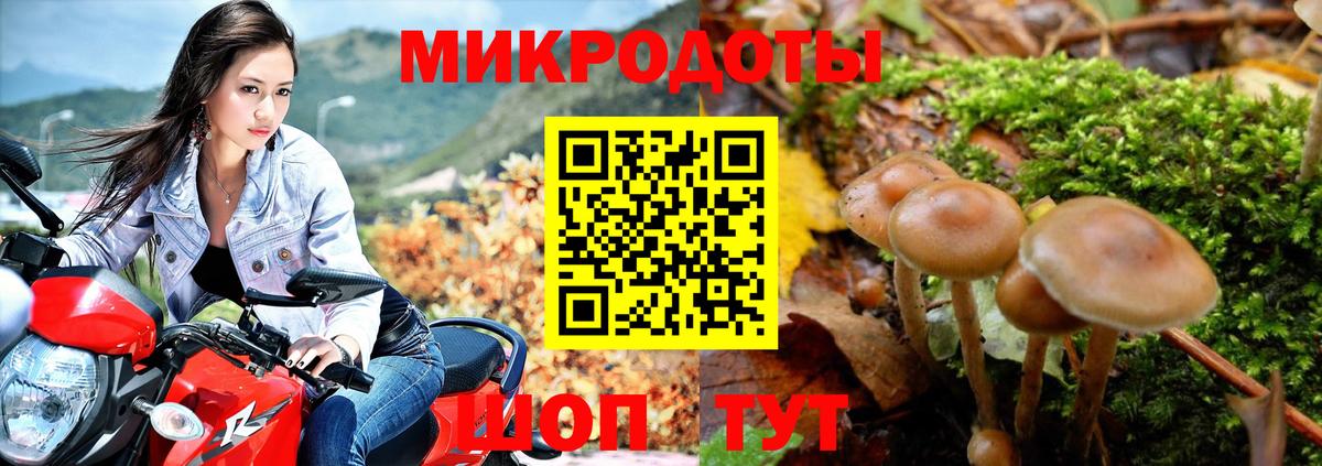 Галлюциногенные грибы прущие грибы Ковров