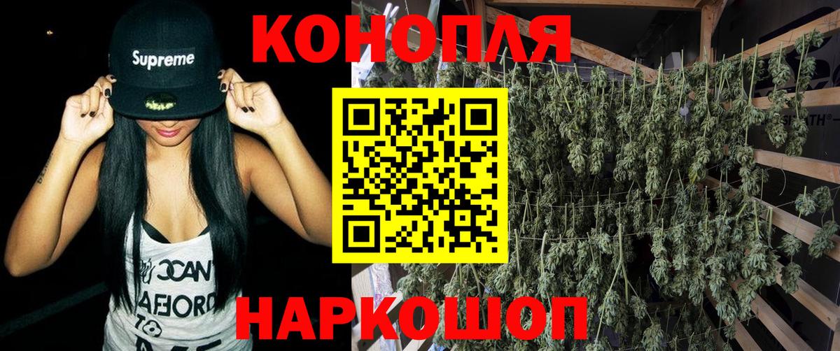 Бошки Шишки MAZAR Ковров